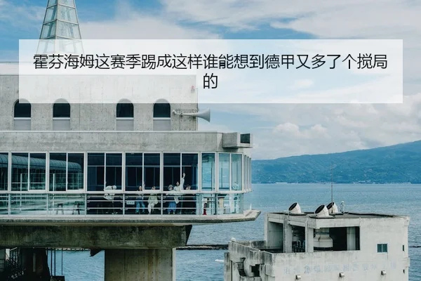 霍芬海姆这赛季踢成这样谁能想到德甲又多了个搅局的